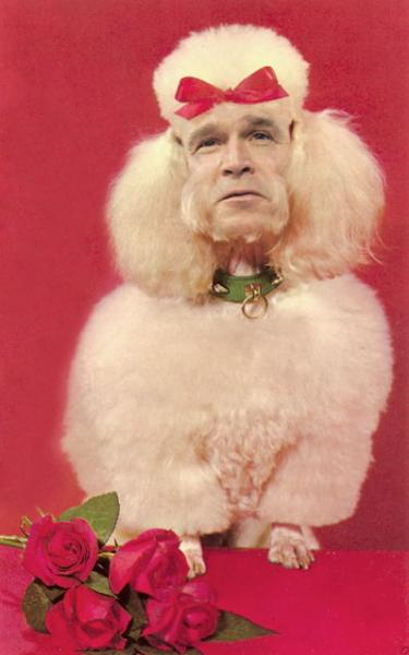 bush